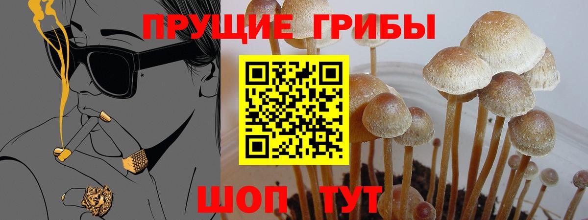 Галлюциногенные грибы мухоморы Тихорецк