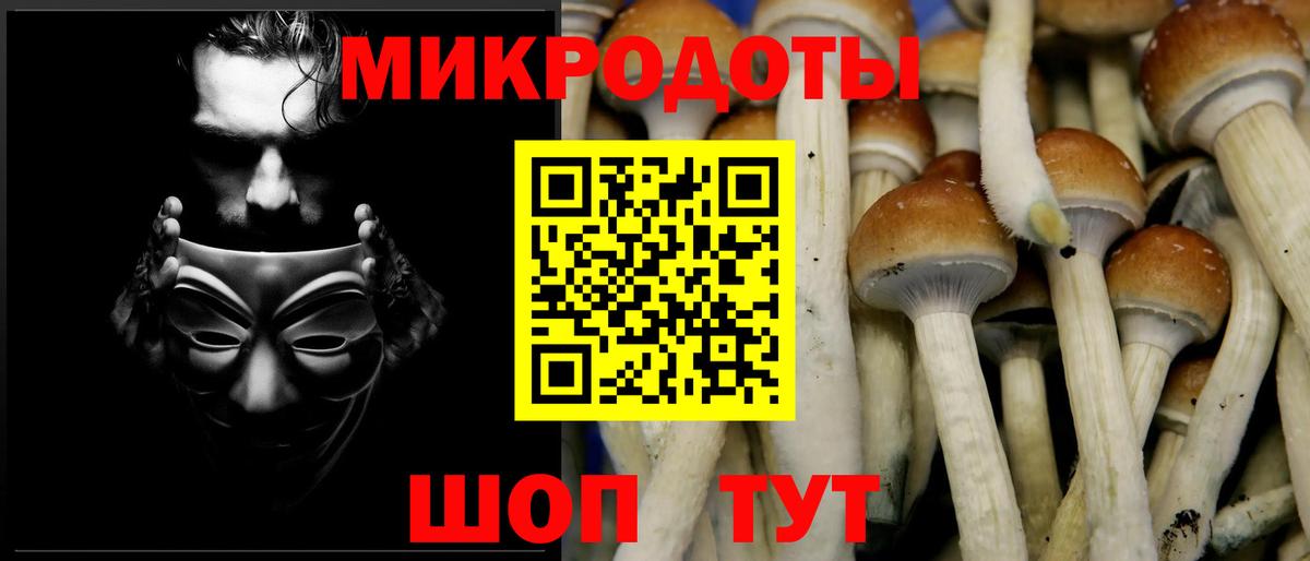 Тихорецк  Галлюциногенные грибы мухоморы  Псилоцибиновые грибы мухоморы  где купить наркотик  Вход с VPN 